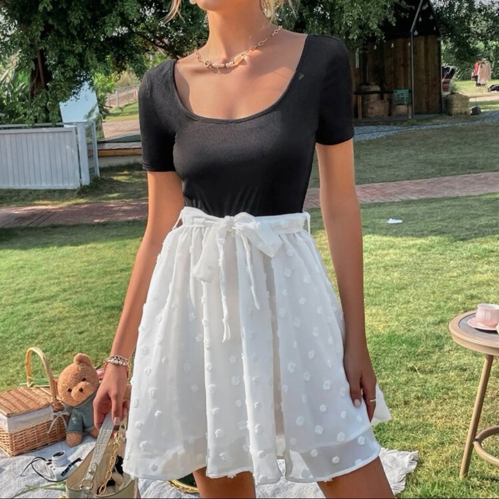 Scoop Neck Dot Color block Dress